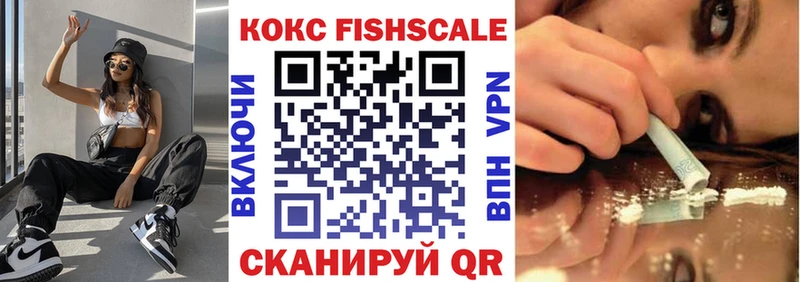 Cocaine FishScale  Купить закладки  Ясный 