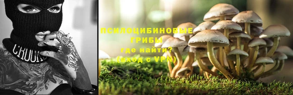 прущие крисы Бронницы