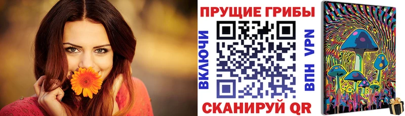Псилоцибиновые грибы GOLDEN TEACHER  Купить где  Ясный 